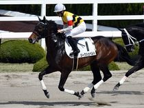 ����å��ǳ��������ɽ�����ޤ�