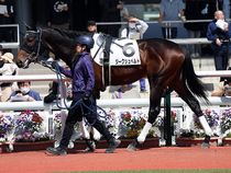 ����å��ǳ��������ɽ�����ޤ�