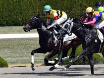 ����å��ǳ��������ɽ�����ޤ�