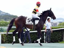 ����å��ǳ��������ɽ�����ޤ�