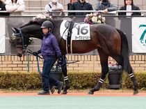 ����å��ǳ��������ɽ�����ޤ�