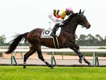 ����å��ǳ��������ɽ�����ޤ�