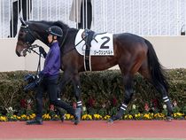 ����å��ǳ��������ɽ�����ޤ�