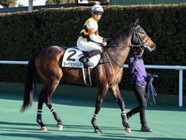 ����å��ǳ��������ɽ�����ޤ�