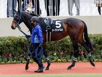 ����å��ǳ��������ɽ�����ޤ�