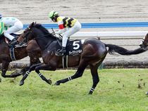 ����å��ǳ��������ɽ�����ޤ�