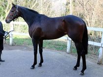 ����å��ǳ��������ɽ�����ޤ�