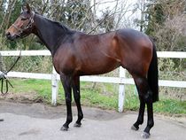 ����å��ǳ��������ɽ�����ޤ�