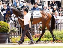 ����å��ǳ��������ɽ�����ޤ�