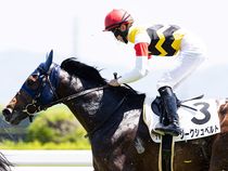 ����å��ǳ��������ɽ�����ޤ�