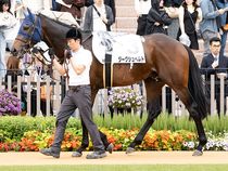 ����å��ǳ��������ɽ�����ޤ�