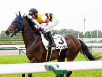 ����å��ǳ��������ɽ�����ޤ�