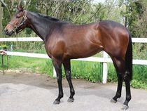 ����å��ǳ��������ɽ�����ޤ�