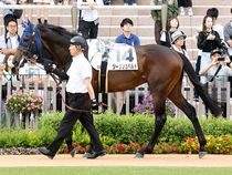 ����å��ǳ��������ɽ�����ޤ�