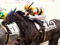 ����å��ǳ��������ɽ�����ޤ�