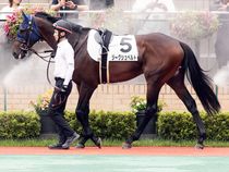 ����å��ǳ��������ɽ�����ޤ�