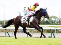 ����å��ǳ��������ɽ�����ޤ�