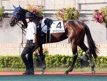 ����å��ǳ��������ɽ�����ޤ�