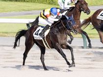 ����å��ǳ��������ɽ�����ޤ�