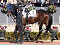 ����å��ǳ��������ɽ�����ޤ�