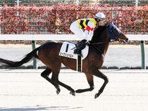 ����å��ǳ��������ɽ�����ޤ�