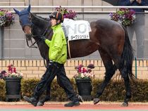 ����å��ǳ��������ɽ�����ޤ�