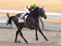 ����å��ǳ��������ɽ�����ޤ�