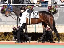 ����å��ǳ��������ɽ�����ޤ�