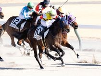 ����å��ǳ��������ɽ�����ޤ�