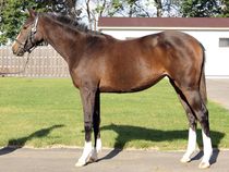 ����å��ǳ��������ɽ�����ޤ�