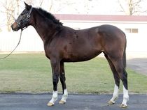 ����å��ǳ��������ɽ�����ޤ�