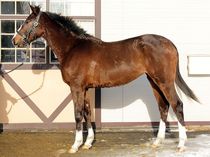 ����å��ǳ��������ɽ�����ޤ�