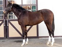 ����å��ǳ��������ɽ�����ޤ�