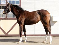 ����å��ǳ��������ɽ�����ޤ�