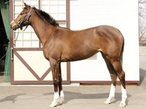 ����å��ǳ��������ɽ�����ޤ�