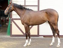 ����å��ǳ��������ɽ�����ޤ�