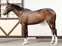 ����å��ǳ��������ɽ�����ޤ�