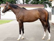 ����å��ǳ��������ɽ�����ޤ�