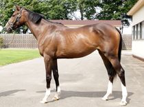 ����å��ǳ��������ɽ�����ޤ�