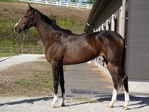 ����å��ǳ��������ɽ�����ޤ�