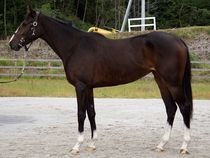 ����å��ǳ��������ɽ�����ޤ�