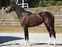 ����å��ǳ��������ɽ�����ޤ�