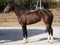 ����å��ǳ��������ɽ�����ޤ�