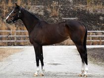 ����å��ǳ��������ɽ�����ޤ�