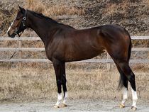 ����å��ǳ��������ɽ�����ޤ�