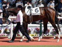 ����å��ǳ��������ɽ�����ޤ�