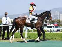 ����å��ǳ��������ɽ�����ޤ�