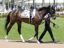 ����å��ǳ��������ɽ�����ޤ�