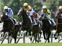 ����å��ǳ��������ɽ�����ޤ�