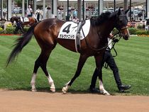 ����å��ǳ��������ɽ�����ޤ�